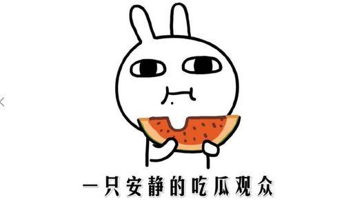 网络吃瓜啥意思是什么,揭秘虚拟世界中的围观文化